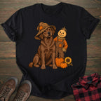 Scarecrow Chocolate Labrador T-shirt