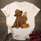 Scarecrow Chocolate Labrador T-shirt